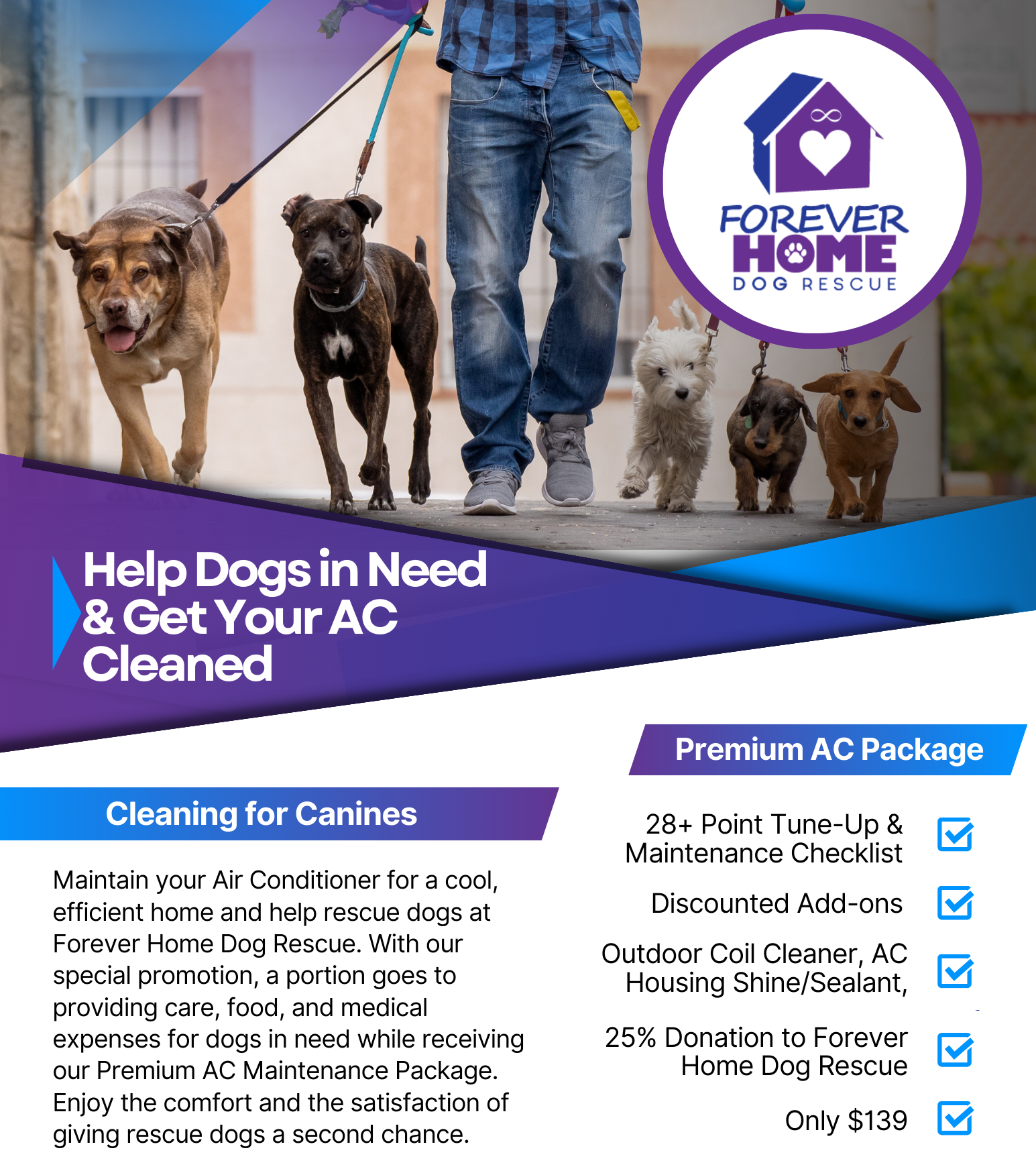 Cleaning for Canines, Birdie Heating & Cooling is raising money for Forever Home Dog Rescue